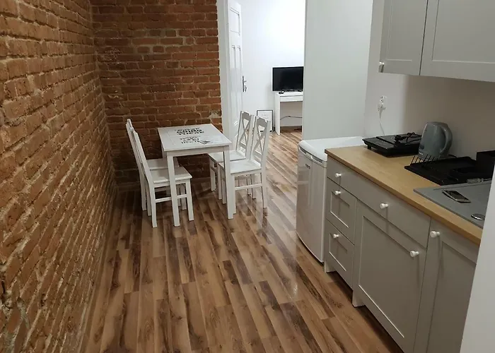Apartament Nr 15 - 2 Pokoje Z Prywatnymi Lazienkami Centrum Poznan