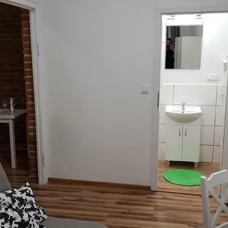 Apartament Nr 15 - 2 Pokoje Z Prywatnymi Lazienkami Centrum Poznaň Exteriér fotografie