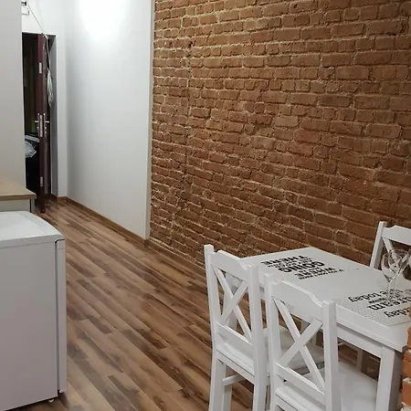 Apartament Nr 15 - 2 Pokoje Z Prywatnymi Lazienkami Centrum Poznaň Exteriér fotografie